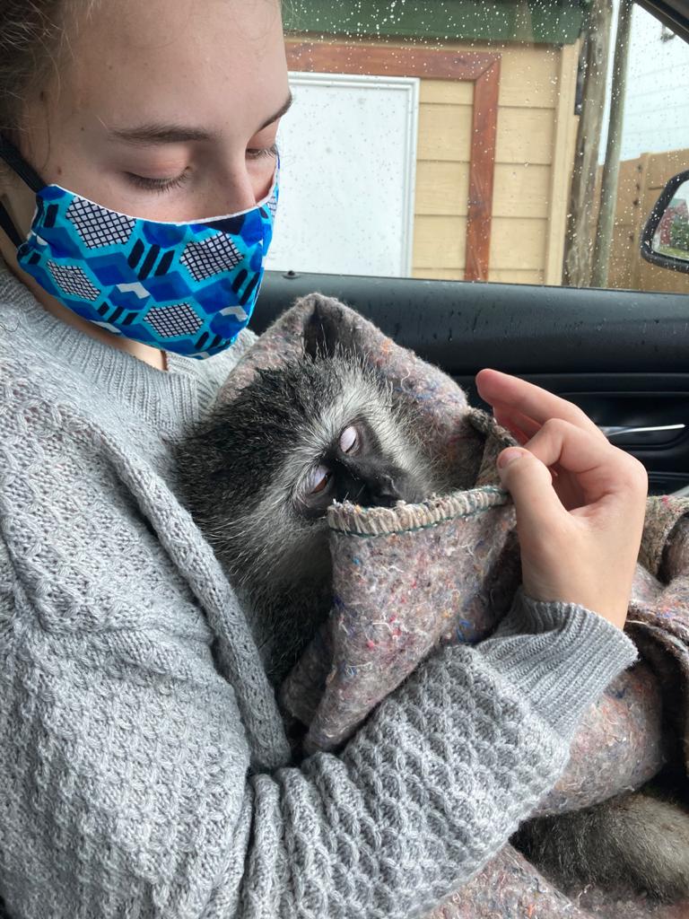 Riley Beyers - online high school - south africa